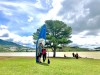 Chèo Sup khám phá Cây thông cô đơn Đà Lạt
