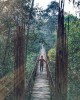 Khu du lịch Làng Cù Lần Đà Lạt