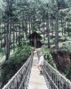 Khu du lịch Làng Cù Lần Đà Lạt