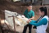 Tour ngoại thành Đà Lạt