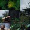 Sitooterie - Coffee & Stories, Đà Lạt 