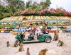 Khu du lịch Đảo Khỉ (Hòn Lao) Nha Trang