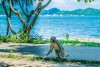Khu du lịch Đảo Khỉ (Hòn Lao) Nha Trang