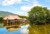 Khu Rừng Đước, Nha Trang 
