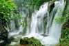 Vườn Quốc gia Cúc Phương, Ninh Bình