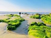 Biển Cổ Thạch, Bình Thuận