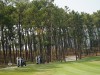Sân golf Silk Path Đông Triều
