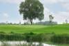 Sân golf Vinpearl Golf Léman Củ Chi