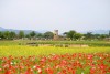 Đài quan sát thiên văn Cheomseongdae, Gyeongju