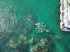 Tour lặn biển Trò chuyện với san hô tại Phú Quốc