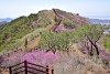 Núi Goryeosan, Incheon