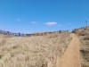 Đường đi ven biển Dalkmeoreu, Jeju
