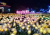 Khu vườn ánh sáng và Photo Studio, Jeju