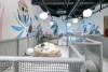 Công viên chủ đề Moomin Land Jeju