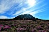 Núi Hallasan, Jeju