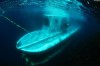 Khám phá đại dương bằng tàu ngầm Seowipo