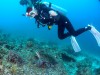 Trải nghiệm lặn biển Jeju - Scuba Diving