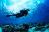 Trải nghiệm lặn biển Jeju - Scuba Diving