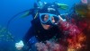 Trải nghiệm lặn biển Jeju - Scuba Diving