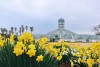 Vườn bách thảo Yeomiji, Jeju