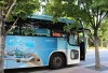 Xe KAL Limousine Bus từ sân bay Incheon về Seoul