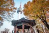 Tour riêng nguyên ngày trải nghiệm mặc Hanbok, tham quan cung điện, tháp N seoul, làm kimchi và gimbap