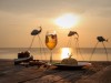 Sunset Sanato Beach Club – bãi biển ngắm hoàng hôn Bãi Trường, Phú Quốc