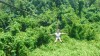 Công viên thám hiểm Kong Forest