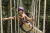 Công viên thám hiểm Kong Forest