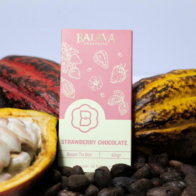 Bean to Bar Strawberry — BALAVA craft chocolate from Lam Dong cacao