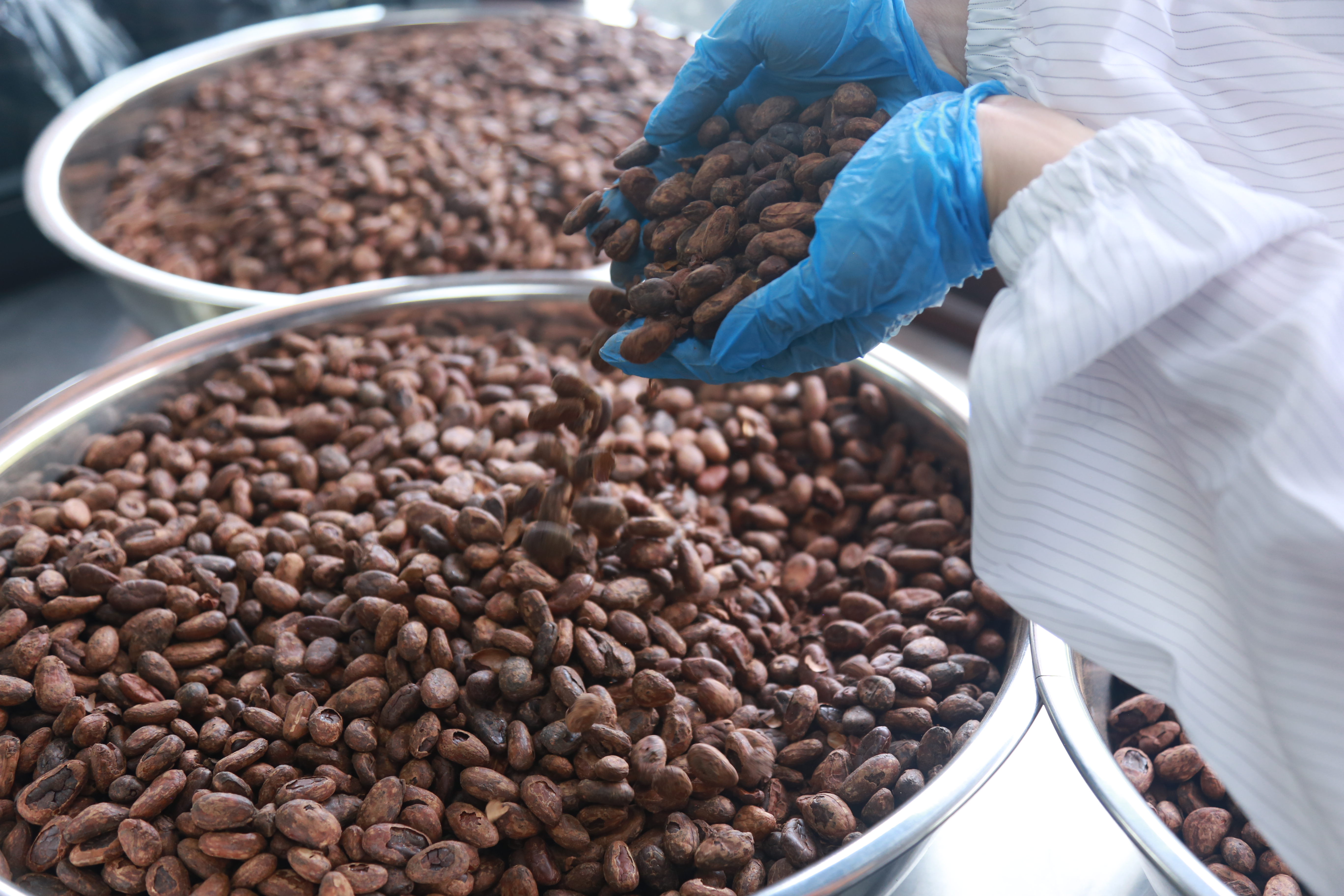 Xưởng sản xuất BALAVA – chiết xuất bơ cacao nguyên chất từ hạt cacao Lâm Đồng Việt Nam