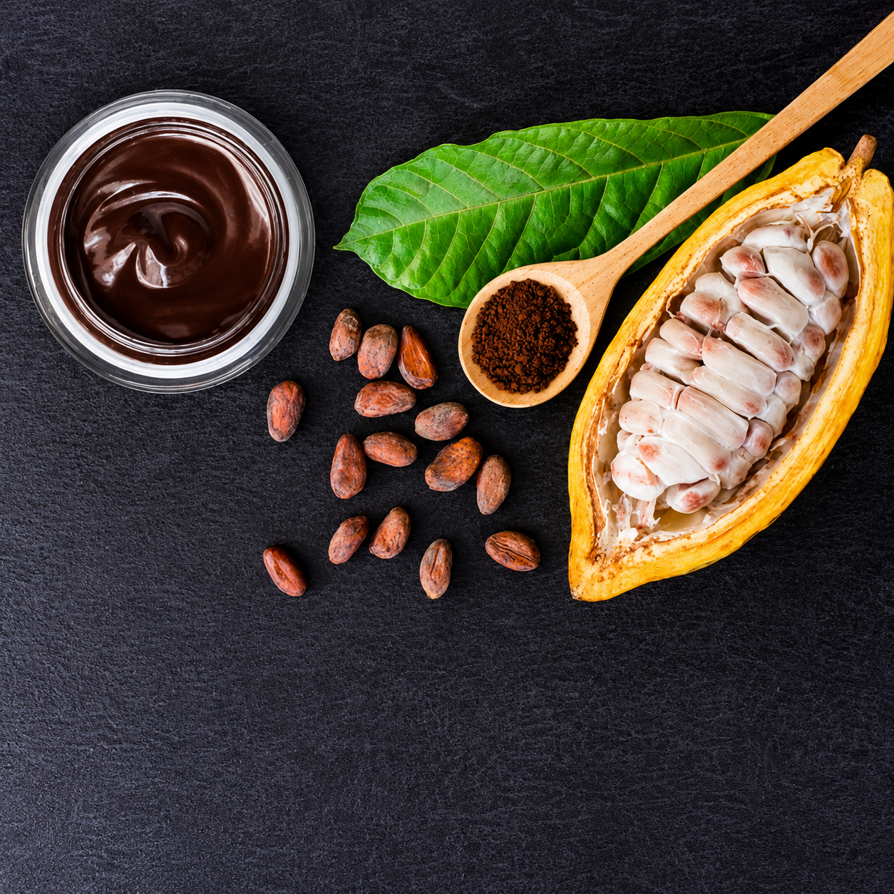 Cacao Lâm Đồng – nguồn nguyên liệu nền tảng cho quy trình bean-to-bar của BALAVA