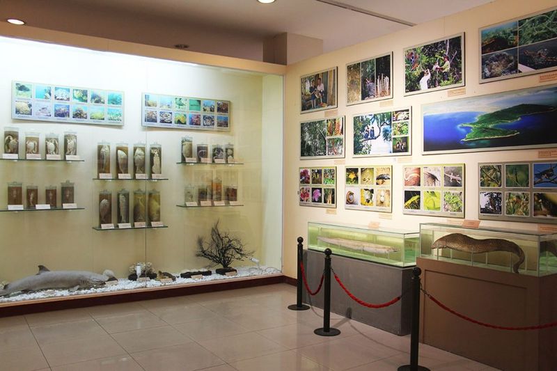 Bảo tàng Đà Nẵng