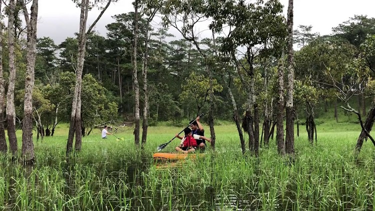 Chèo thuyền Sup khám phá thiên nhiên, Đà Lạt
