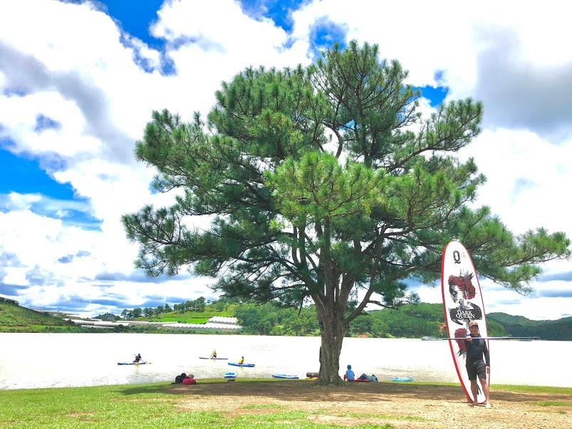 Chèo Sup khám phá Cây thông cô đơn Đà Lạt