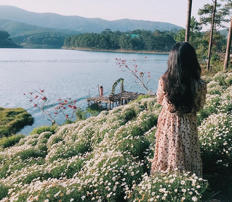 Tour check-in đồi cỏ hồng Đà Lạt