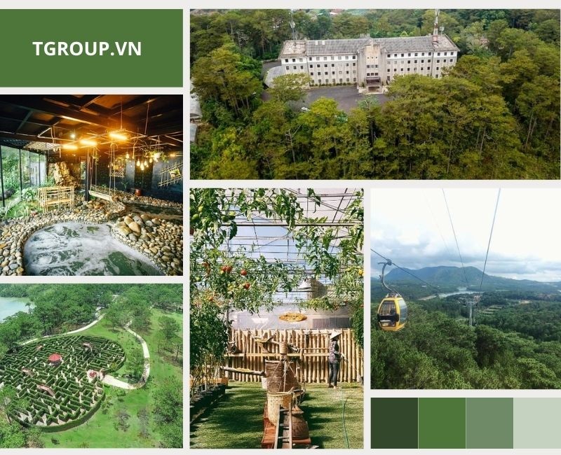Thỏa mãn mong muốn khám phá với Top 5 chương trình du lịch Đà Lạt đặc trưng của TGROUP Thỏa mãn mong muốn khám phá với Top 5 chương trình du lịch Đà Lạt đặc trưng của TGROUP
