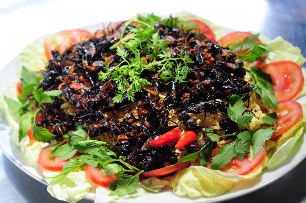 Tour ngoại thành Đà Lạt