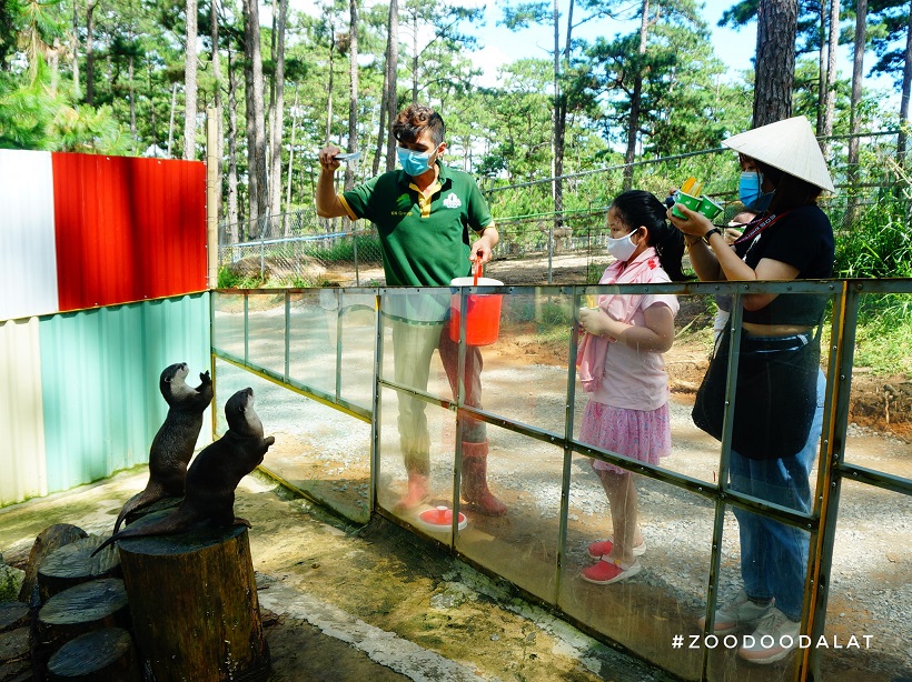Zoodoo - Sở thú phong cách Úc tại Đà Lạt