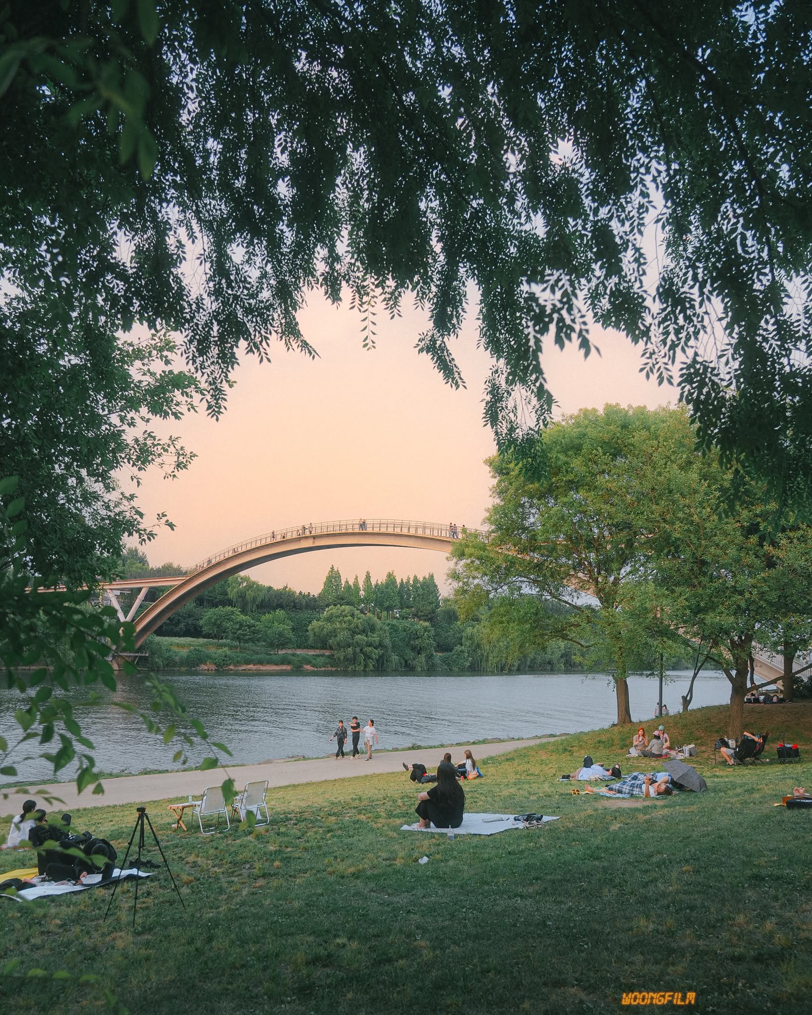 Hoàng hôn tại công viên sông Hàn với cây cầu vòm và người dân picnic