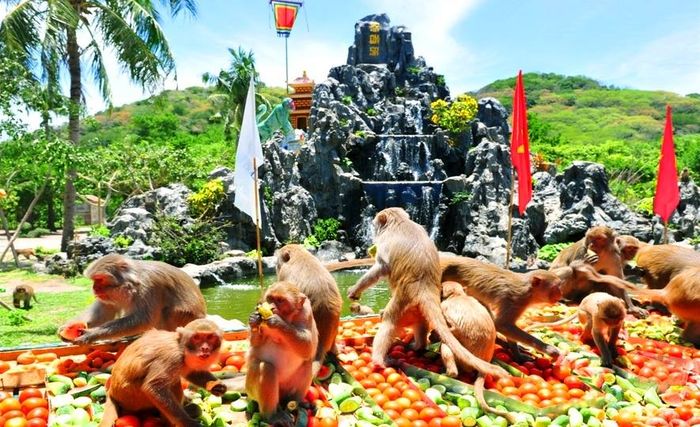 Khu du lịch Đảo Khỉ (Hòn Lao) Nha Trang