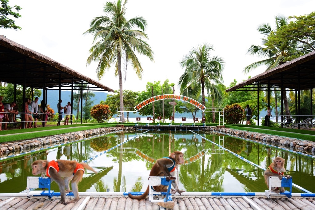 Khu du lịch Đảo Khỉ (Hòn Lao) Nha Trang