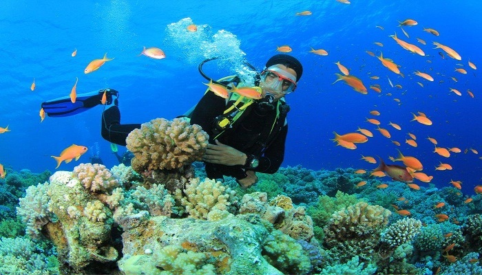 Tour riêng lặn biển Nha Trang kèm hướng dẫn viên