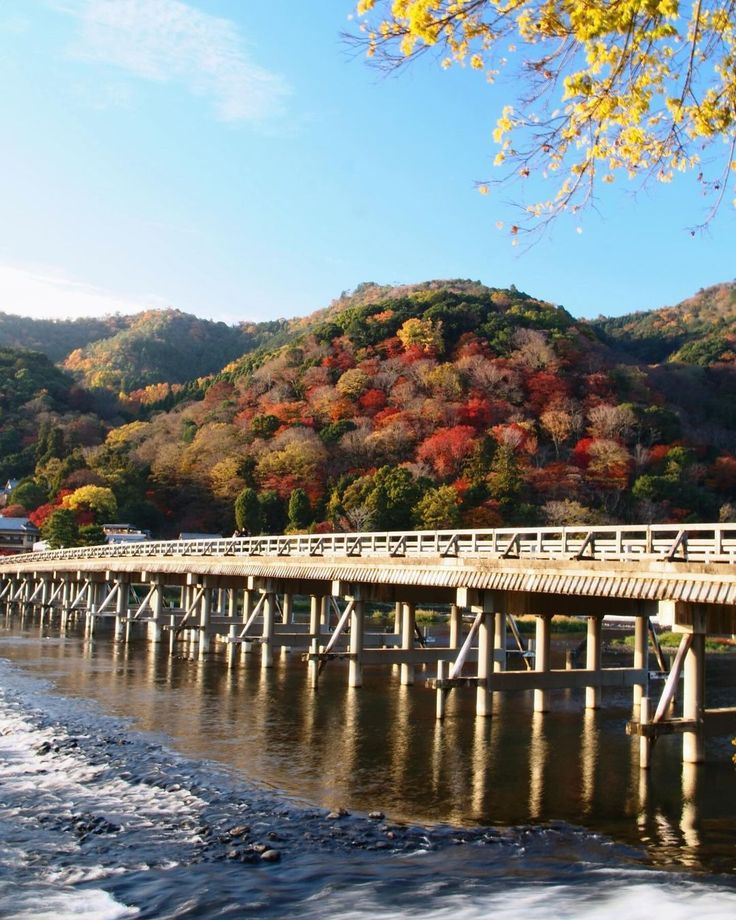Tour Nhật Bản 6N5Đ 2026 | Rực Rỡ Mùa Hoa – Osaka – Kyoto – Phú Sĩ – Tokyo (Vietjet Air)