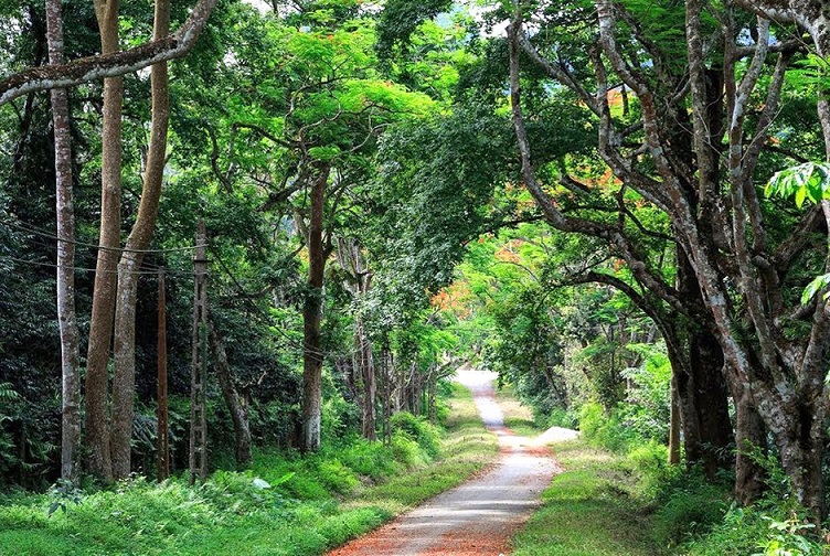 Vườn Quốc gia Cúc Phương, Ninh Bình