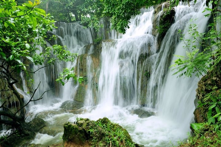 Vườn Quốc gia Cúc Phương, Ninh Bình