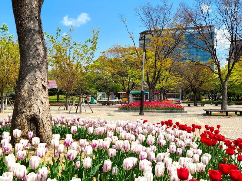 Công viên hồ Ilsan, Seoul