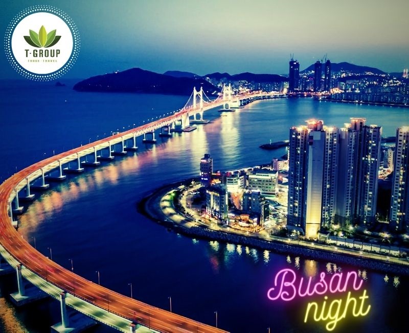 Tour đêm Busan - Hành trình về đêm ở thành phố biển rực rỡ sắc màu
