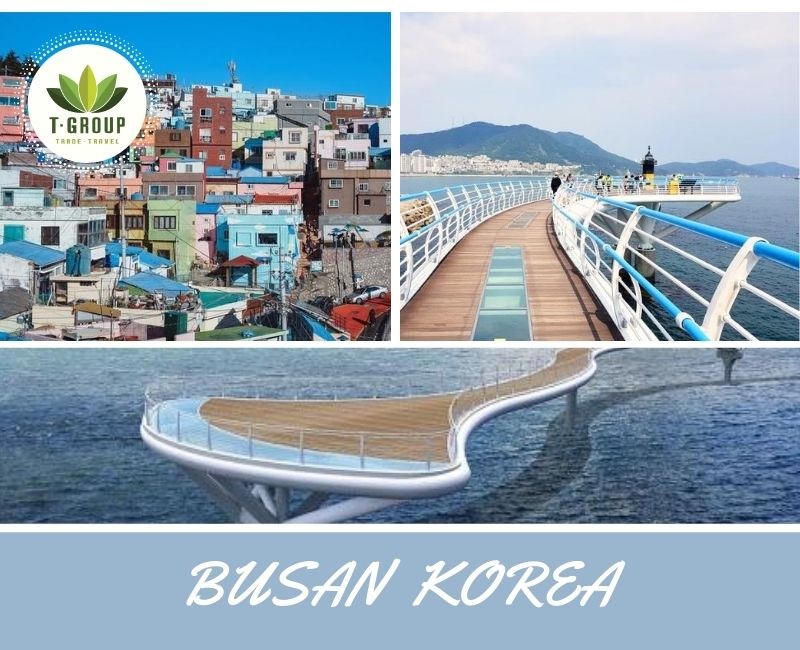 Hành trình trải nghiệm văn hóa bờ biển đông Busan