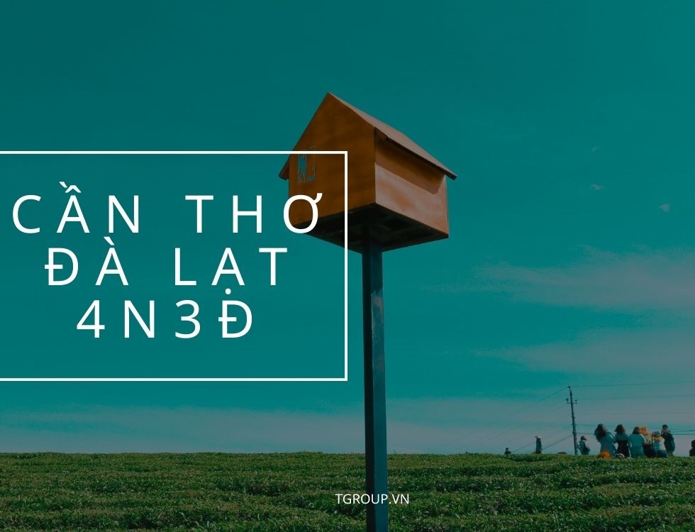 4 ngày 3 đêm vi vu Đà Lạt từ Cần Thơ 4 ngày 3 đêm vi vu Đà Lạt từ Cần Thơ